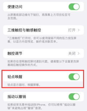 洛隆苹果授权维修站分享iPhone轻点无法唤醒怎么办 