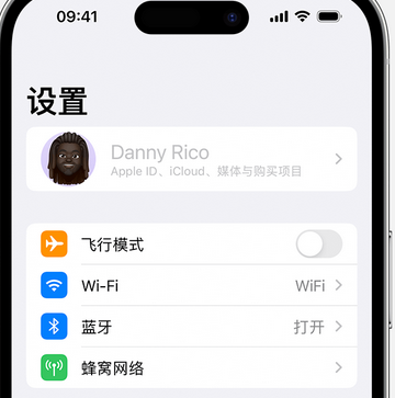 洛隆appleID维修服务iPhone设置中Apple ID显示为灰色无法使用