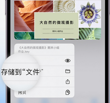 洛隆apple维修中心分享iPhone文件应用中存储和找到下载文件