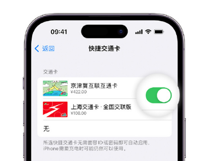 洛隆apple维修点分享iPhone上更换Apple Pay快捷交通卡手绘卡面 