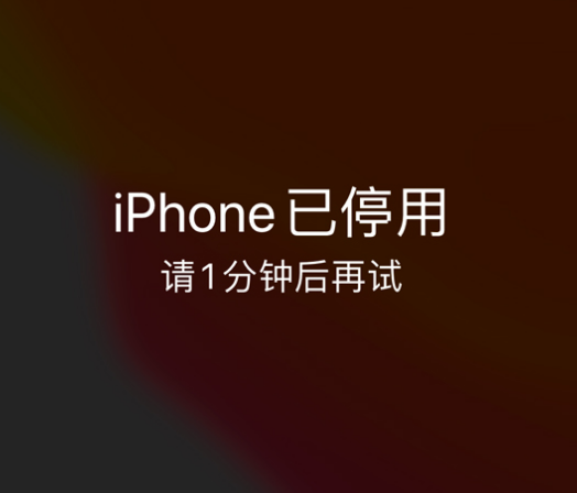 洛隆苹果手机维修分享:iPhone 显示“不可用”或“已停用”怎么办？还能保留数据吗？ 