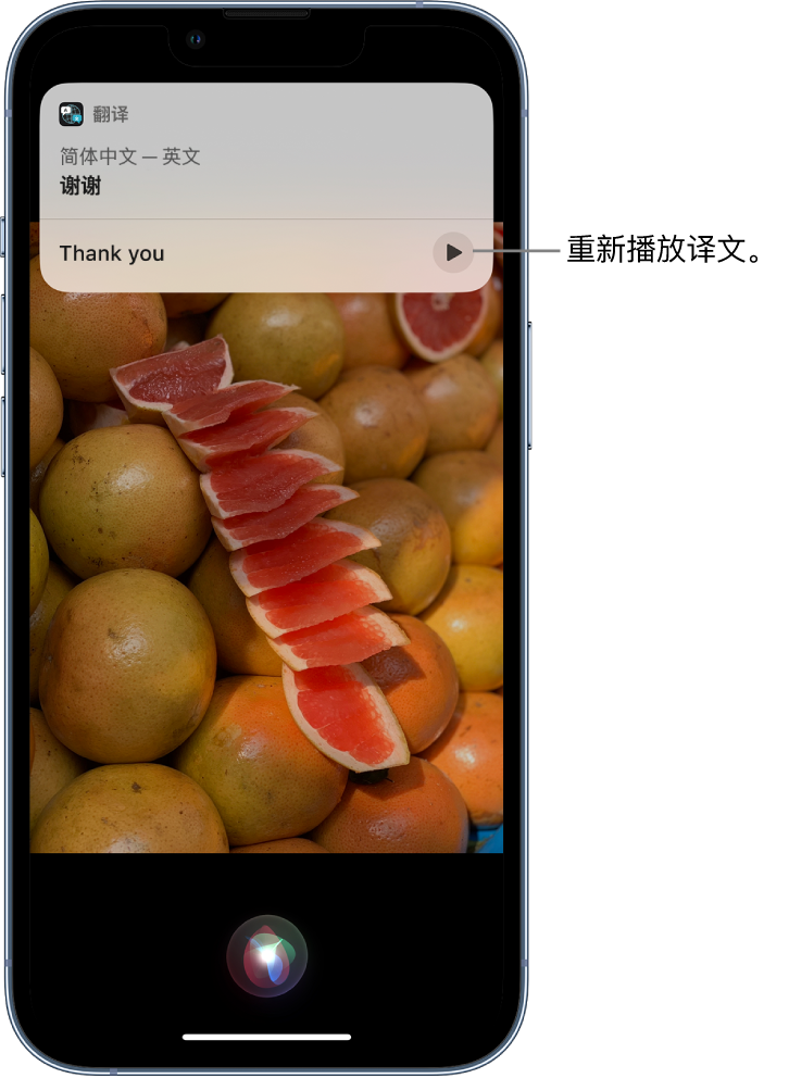 洛隆苹果14维修分享 iPhone 14 机型中使用 Siri：了解 Siri 能帮你做什么 